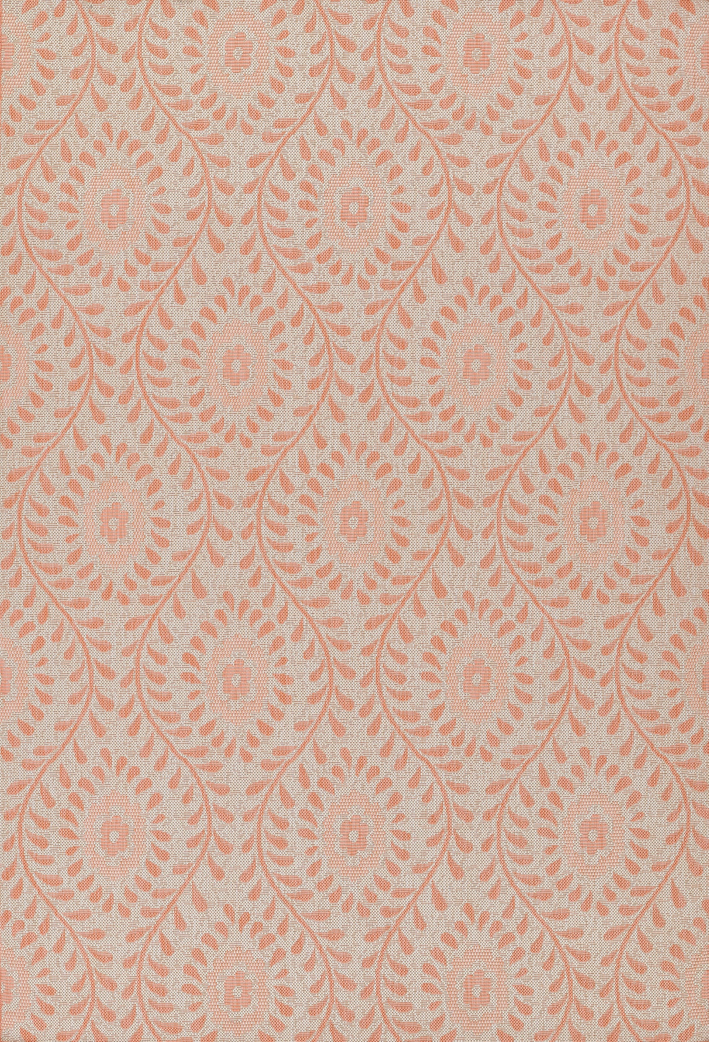 Momeni Riviera  Coral  Transitional