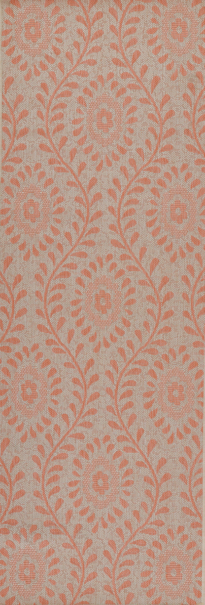 Momeni Riviera  Coral  Transitional