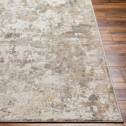 Surya Roswell RSW-2303 Gray Modern  Rug