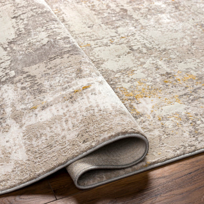 Surya Roswell RSW-2304 Gray Modern  Rug