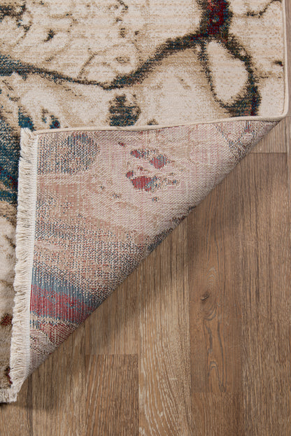 Momeni Studio  Multi  Transitional