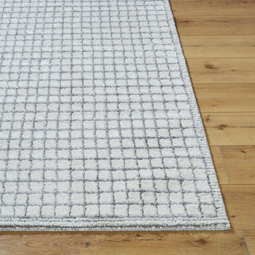 Surya Andorra Plus ARP-2309  Cottage Machine Woven Rug