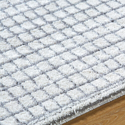 Surya Andorra Plus ARP-2309  Cottage Machine Woven Rug