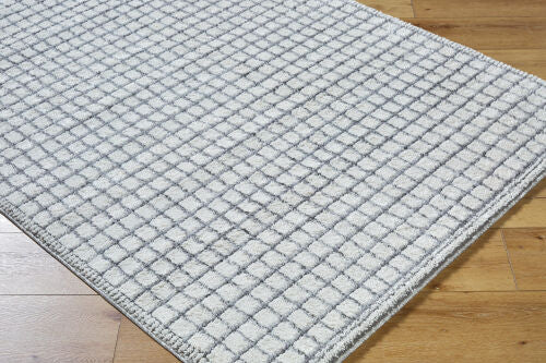 Surya Andorra Plus ARP-2309  Cottage Machine Woven Rug
