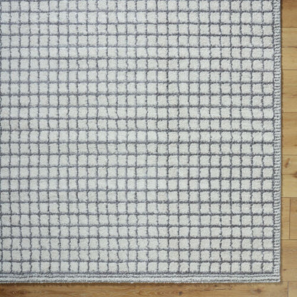 Surya Andorra Plus ARP-2309  Cottage Machine Woven Rug