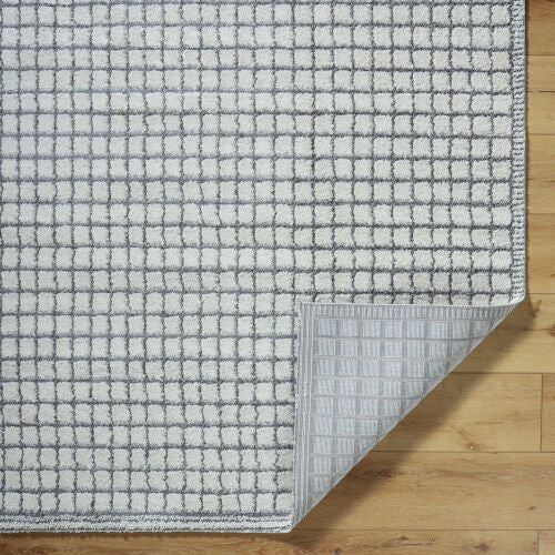 Surya Andorra Plus ARP-2309  Cottage Machine Woven Rug