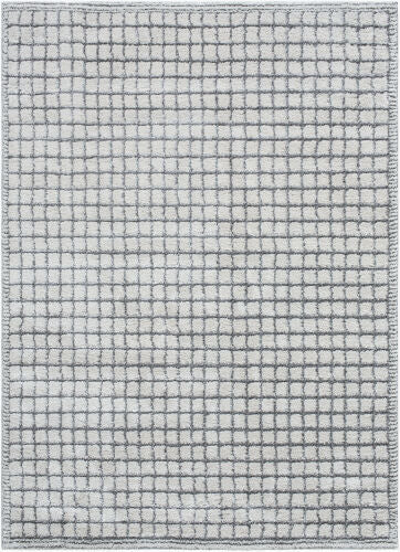 Surya Andorra Plus ARP-2309  Cottage Machine Woven Rug