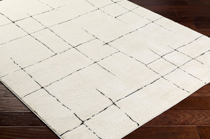Surya Freud FEU-2300 Ivory Black Modern Machine Woven Rug