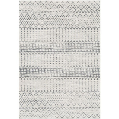 Surya Harput HAP-1097 Charcoal Global Machine Woven Rug