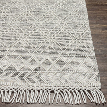 Surya Hemingway HMG-2300 Cream Global Hand Woven Rug