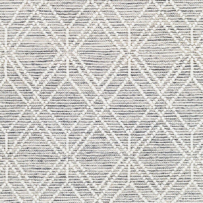 Surya Hemingway HMG-2300 Cream Global Hand Woven Rug