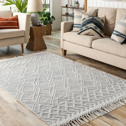 Surya Hemingway HMG-2300 Cream Global Hand Woven Rug
