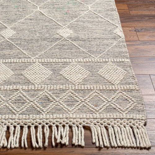 Surya Hemingway HMG-2301 Ivory Global Hand Woven Rug