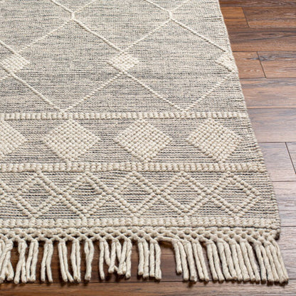 Surya Hemingway HMG-2301 Ivory Global Hand Woven Rug