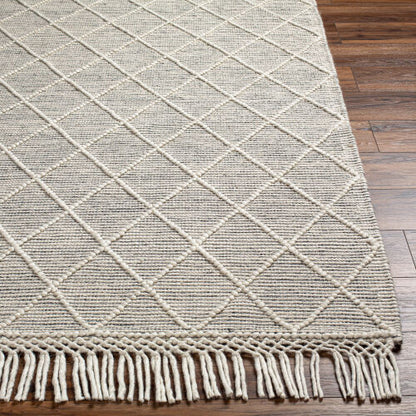 Surya Hemingway HMG-2302 Ivory Cottage Hand Woven Rug
