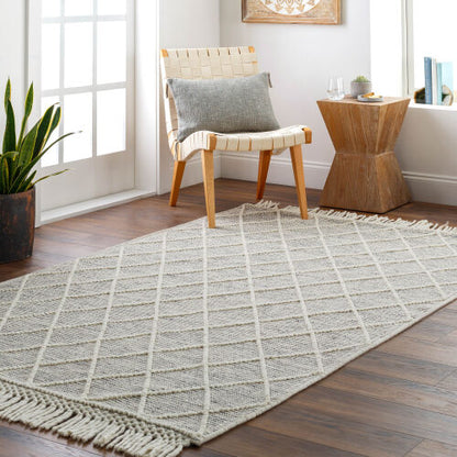 Surya Hemingway HMG-2302 Ivory Cottage Hand Woven Rug