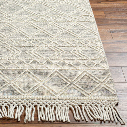 Surya Hemingway HMG-2303 Ivory Global Hand Woven Rug