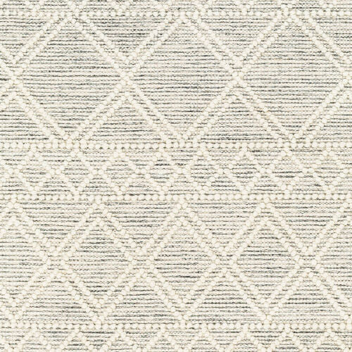 Surya Hemingway HMG-2303 Ivory Global Hand Woven Rug
