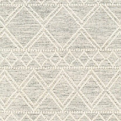 Surya Hemingway HMG-2303 Ivory Global Hand Woven Rug