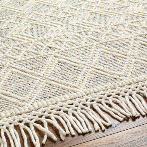 Surya Hemingway HMG-2303 Ivory Global Hand Woven Rug