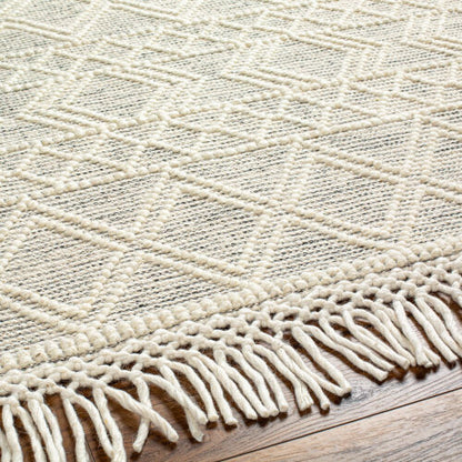 Surya Hemingway HMG-2303 Ivory Global Hand Woven Rug