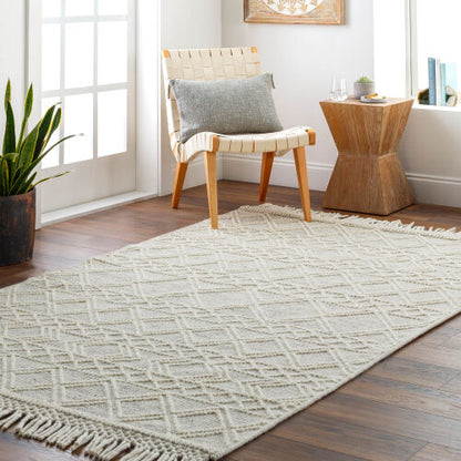 Surya Hemingway HMG-2303 Ivory Global Hand Woven Rug