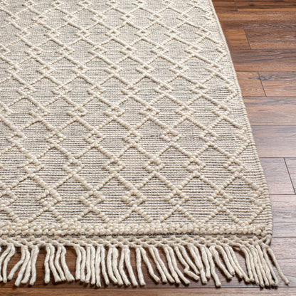 Surya Hemingway HMG-2304 Ivory Cottage Hand Woven Rug