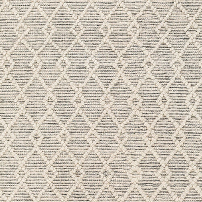 Surya Hemingway HMG-2304 Ivory Cottage Hand Woven Rug