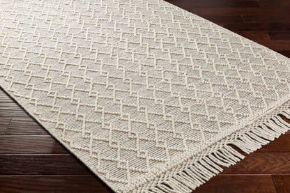 Surya Hemingway HMG-2304 Ivory Cottage Hand Woven Rug
