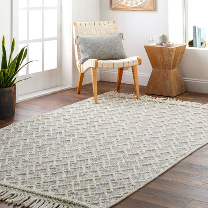 Surya Hemingway HMG-2304 Ivory Cottage Hand Woven Rug