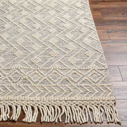 Surya Hemingway HMG-2305 Ivory Cottage Hand Woven Rug