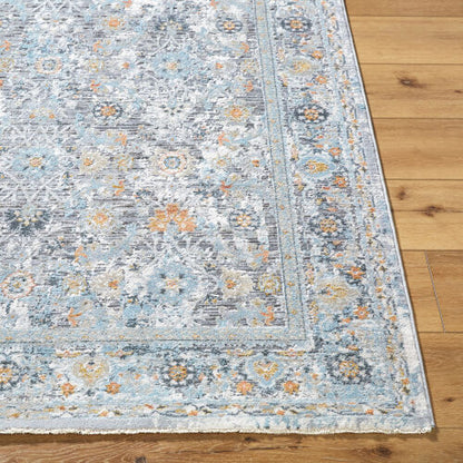 Surya Hassler HSL-2300 Taupe Traditional Machine Woven Rug