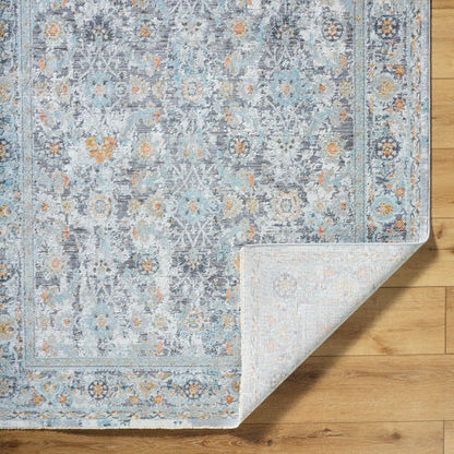 Surya Hassler HSL-2300 Taupe Traditional Machine Woven Rug