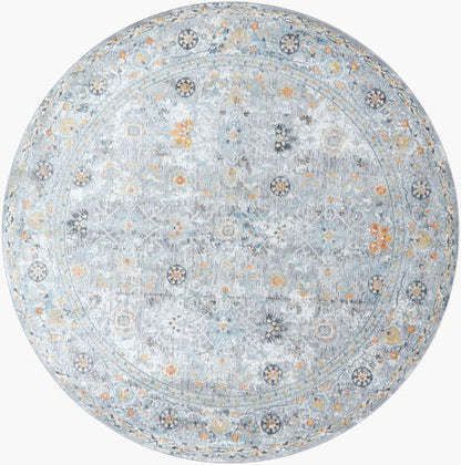 Surya Hassler HSL-2300 Taupe Traditional Machine Woven Rug