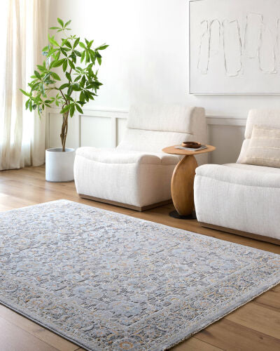 Surya Hassler HSL-2304 Light Slate Traditional Machine Woven Rug