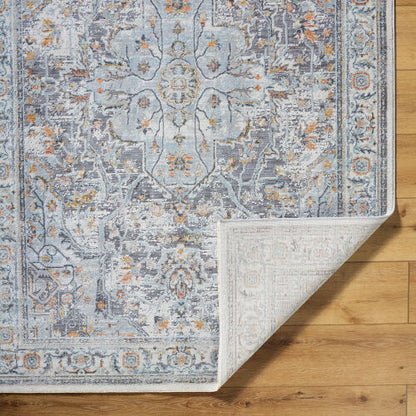Surya Hassler HSL-2306 Light Slate Traditional Machine Woven Rug