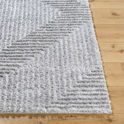 Surya Nomadic NMC-2324 Gray Modern Machine Woven Rug