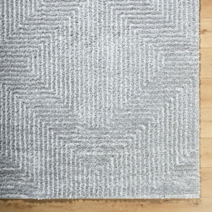 Surya Nomadic NMC-2324 Gray Modern Machine Woven Rug