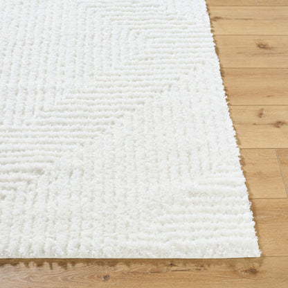 Surya Nomadic NMC-2327 Cream Modern Machine Woven Rug