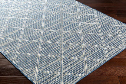 Surya Ravello RVL-2363 Denim Modern Machine Woven Rug