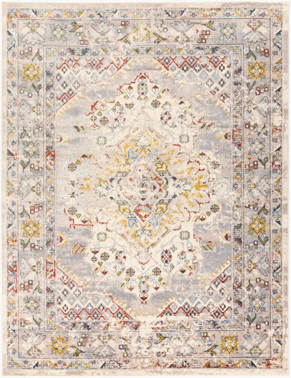 Surya Ankara AKR-2301 Taupe Traditional Machine Woven Rug