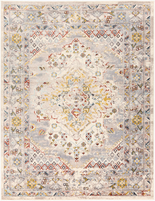 Surya Ankara AKR-2301 Taupe Traditional Machine Woven Rug