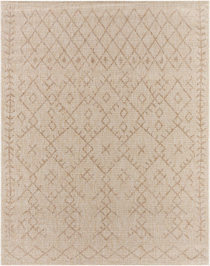 Surya Eagean EAG-2404 Brown Global Machine Woven Rug