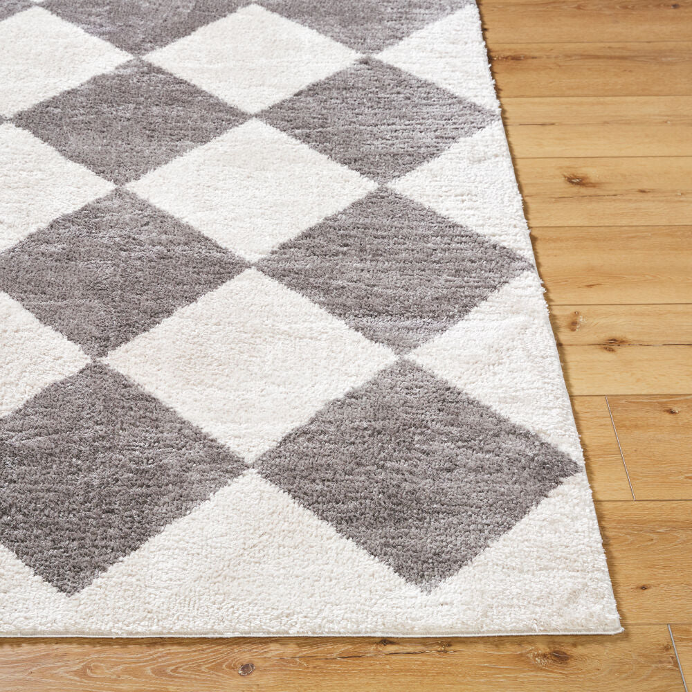 Surya Fossay Shag FSG-2326 Light Beige Modern Machine Woven Rug