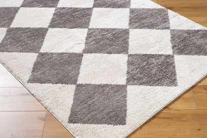 Surya Fossay Shag FSG-2326 Light Beige Modern Machine Woven Rug