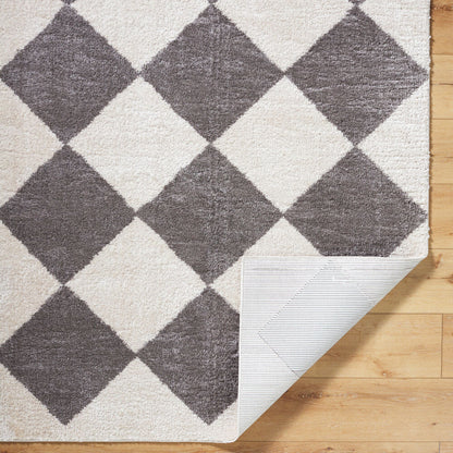 Surya Fossay Shag FSG-2326 Light Beige Modern Machine Woven Rug