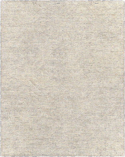 Surya Halcyon HCY-2300 Charcoal Modern Hand Tufted Rug