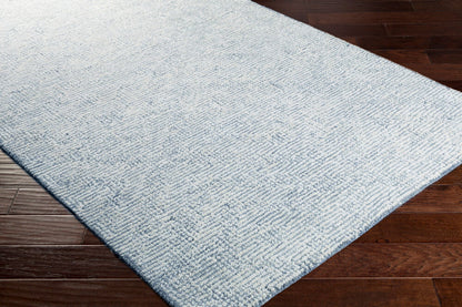 Surya Halcyon HCY-2302 Gray Modern Hand Tufted Rug