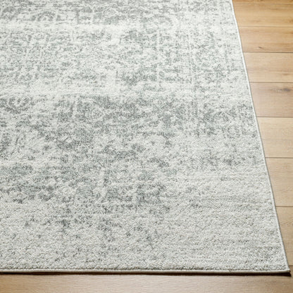Surya Harput HAP-1024 Charcoal Traditional Machine Woven Rug