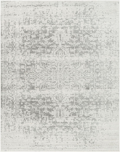 Surya Harput HAP-1024 Charcoal Traditional Machine Woven Rug